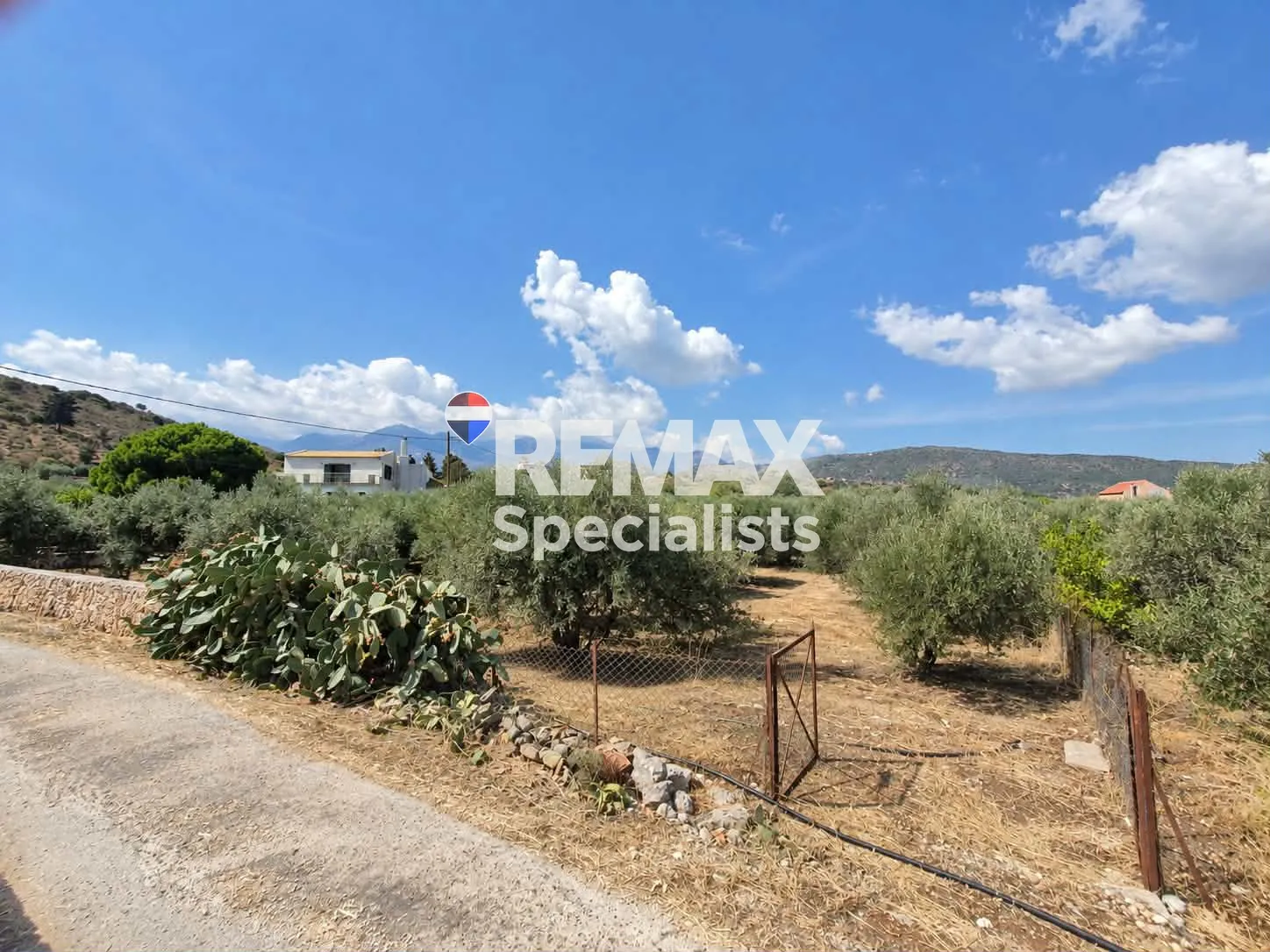 Land plot in Neo Chorio, Apokoronas — photograph from official listing 2358861.
